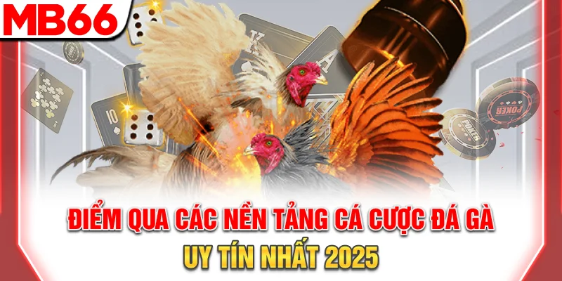 Đá Gà Campuchia - Hướng Dẫn Tham Gia Chuyên Nghiệp 10 Điểm qua các nền tảng cá cược đá gà uy tín nhất 2025