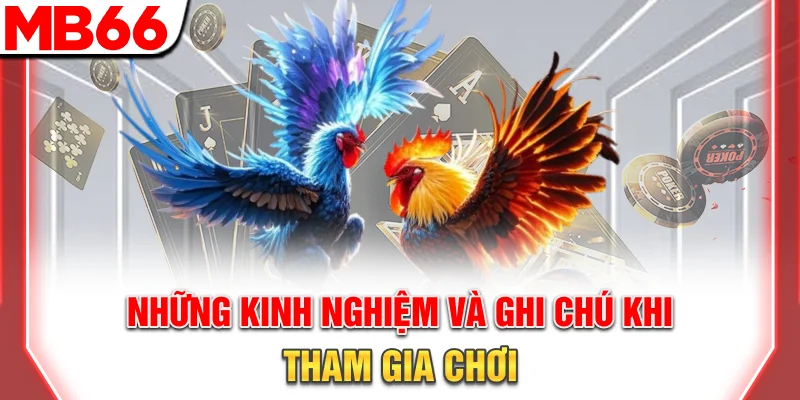 Đá Gà Campuchia - Hướng Dẫn Tham Gia Chuyên Nghiệp 11 Những kinh nghiệm và ghi chú khi tham gia chơi
