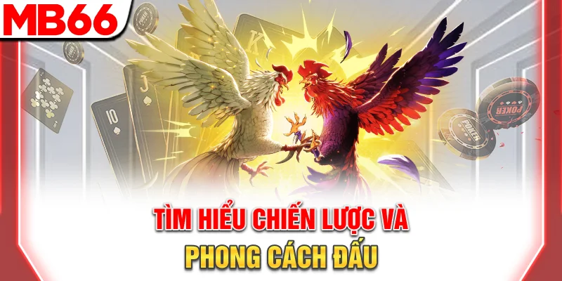 Đá Gà Campuchia - Hướng Dẫn Tham Gia Chuyên Nghiệp 9 Tìm hiểu chiến lược và phong cách đấu