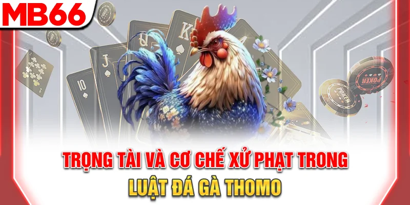 Luật Đá Gà Thomo Chi Tiết Cho Người Mới Cực Đơn Giản 9 Trọng tài và cơ chế xử phạt trong luật đá gà Thomo