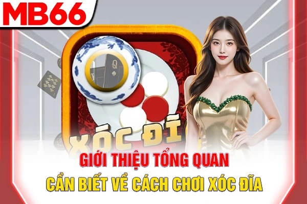 Giới thiệu tổng quan cần biết về cách chơi xóc đĩa