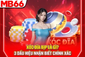 Xóc Đĩa Bịp Là Gì? 3 Dấu Hiệu Nhận Biết Chính Xác 